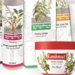 קמילוטרקט